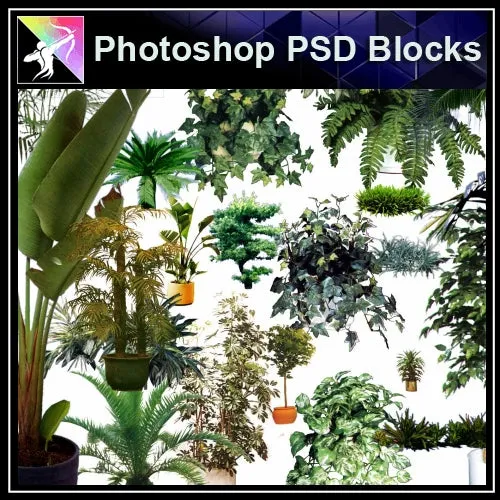 ★Photoshop PSD Blocks-Tree elevation PSD Blocks