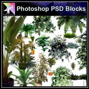 ★Photoshop PSD Blocks-Tree elevation PSD Blocks